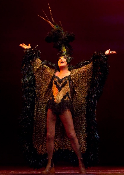 Photo Flash: Exclusive First Look at PRISCILLA QUEEN OF THE DESERT THE MUSICAL Image