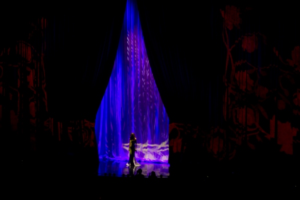 Photo Coverage: Celine Dion Returns to Las Vegas Image