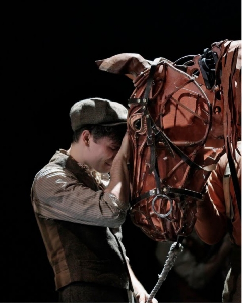 War Horse Production Photo 