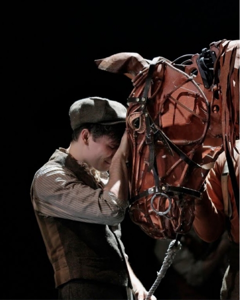 Photo Flash: WAR HORSE at LCT - First Production Shots Image