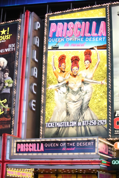 Photo Coverage: PRISCILLA QUEEN OF THE DESERT - Opening Night Curtain Call! Image