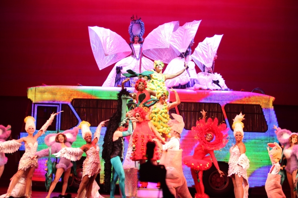 Photo Coverage: PRISCILLA QUEEN OF THE DESERT - Opening Night Curtain Call! Image