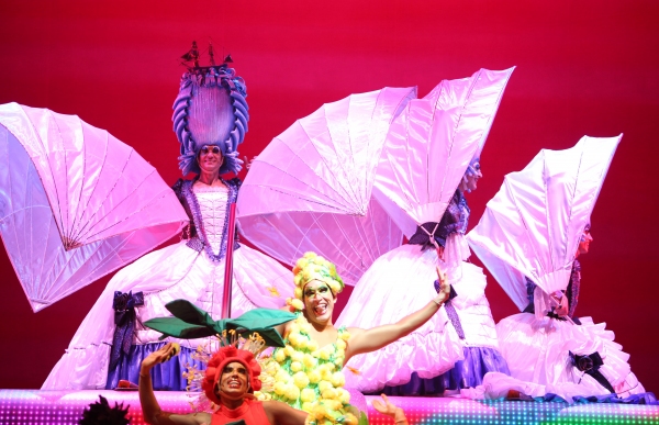 Photo Coverage: PRISCILLA QUEEN OF THE DESERT - Opening Night Curtain Call! Image