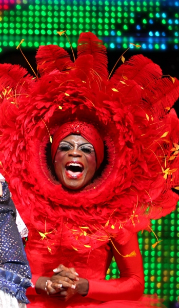 Photo Coverage: PRISCILLA QUEEN OF THE DESERT - Opening Night Curtain Call! Image