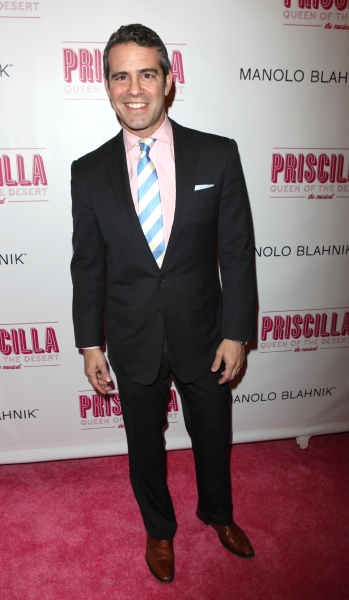 Photo Coverage: PRISCILLA QUEEN OF THE DESERT Red Carpet - Part 1 Image