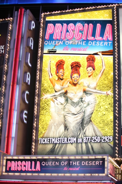 Photo Coverage: PRISCILLA QUEEN OF THE DESERT Red Carpet - Part 1 Image