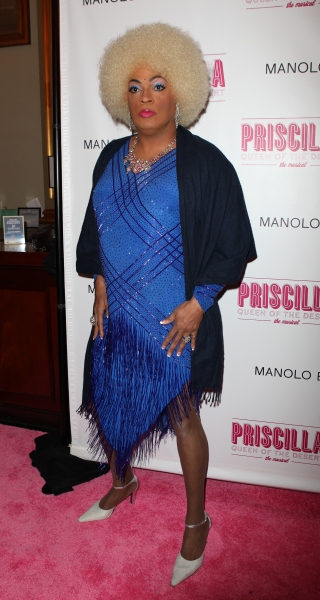 Photo Coverage: PRISCILLA QUEEN OF THE DESERT Red Carpet - Part 2 Image