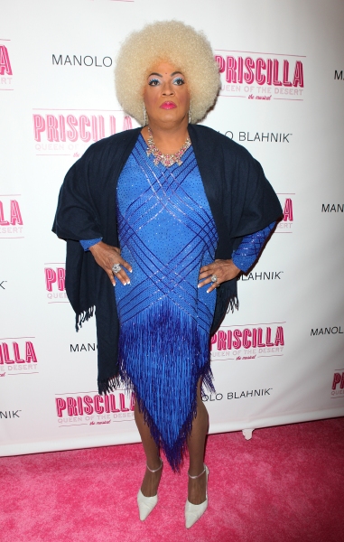 Photo Coverage: PRISCILLA QUEEN OF THE DESERT Red Carpet - Part 2 Image