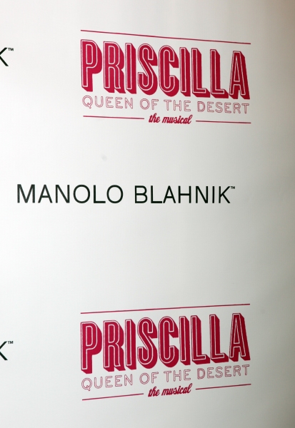 Photo Coverage: PRISCILLA QUEEN OF THE DESERT Red Carpet - Part 2 Image