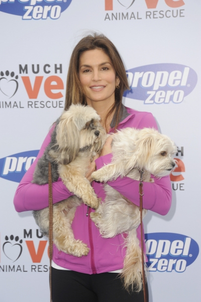 Photo Coverage: Cindy Crawford Hosts Propel Zero to 1000 Celebrity Dog Walking Event Image