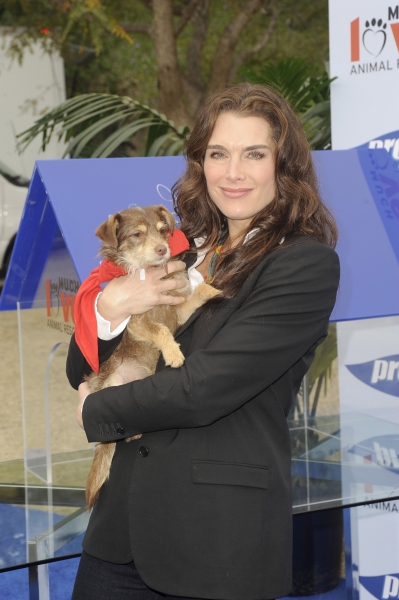 Photo Coverage: Cindy Crawford Hosts Propel Zero to 1000 Celebrity Dog Walking Event Image