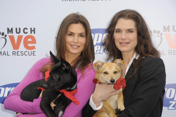 Photo Coverage: Cindy Crawford Hosts Propel Zero to 1000 Celebrity Dog Walking Event Image