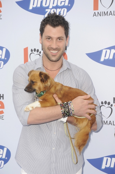 Photo Coverage: Cindy Crawford Hosts Propel Zero to 1000 Celebrity Dog Walking Event Image