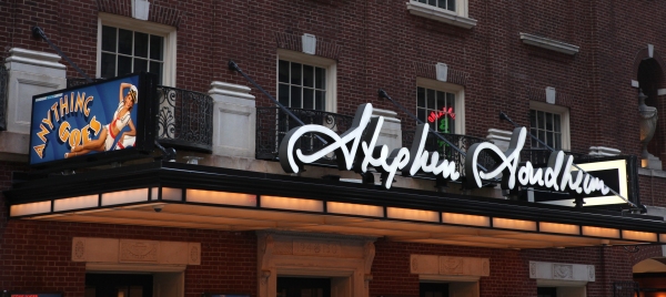 Photo Coverage: ANYTHING GOES Opening Night Red Carpet Image