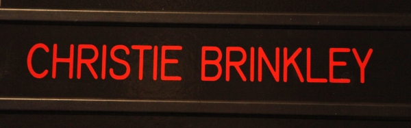 Photo Coverage: Christie Brinkley Debuts in CHICAGO Image