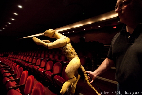 Photo Coverage: Disney's The Lion King Arrives in Toronto Image