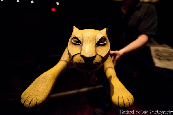 Photo Coverage: Disney's The Lion King Arrives in Toronto Image