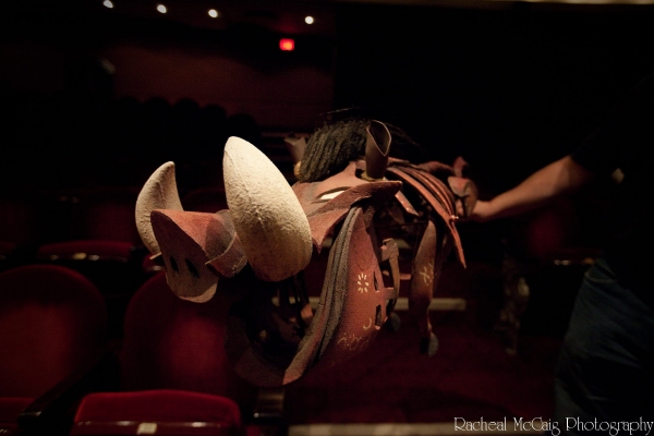 Photo Coverage: Disney's The Lion King Arrives in Toronto Image