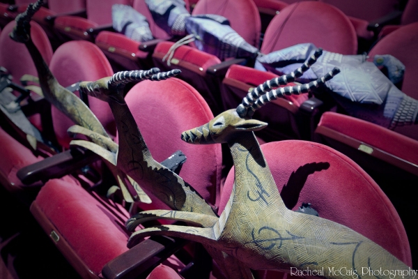 Photo Coverage: Disney's The Lion King Arrives in Toronto Image
