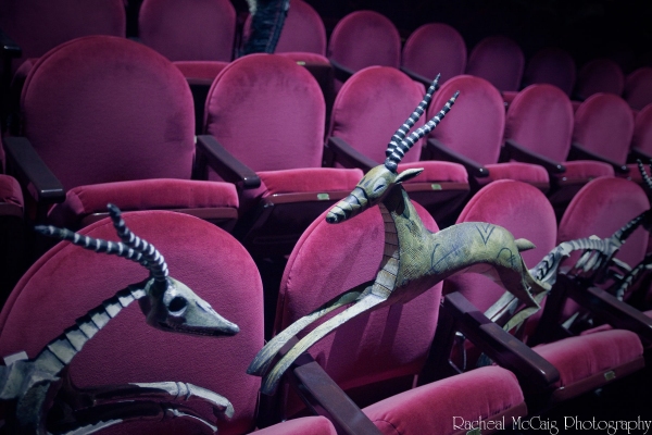 Photo Coverage: Disney's The Lion King Arrives in Toronto Image