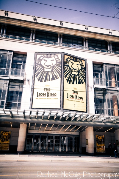 Photo Coverage: Disney's The Lion King Arrives in Toronto Image