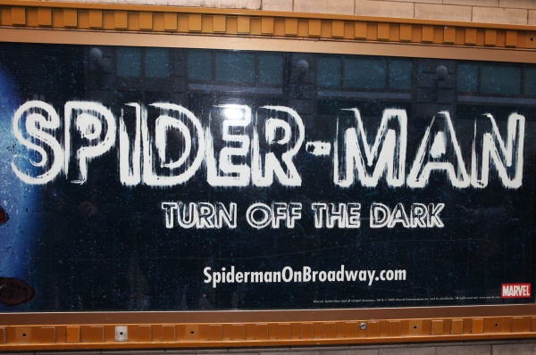 Photo Coverage: SPIDER-MAN: Turn Off the Dark Pre-Hiatus Cast at the Stage Door Image