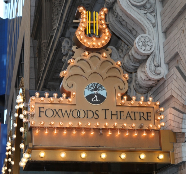 Photo Coverage: SPIDER-MAN: Turn Off the Dark Pre-Hiatus Cast at the Stage Door Image