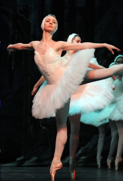 Photo Flash: St. Petersburg Ballet Theater Presents SWAN LAKE in Taiwan  Image