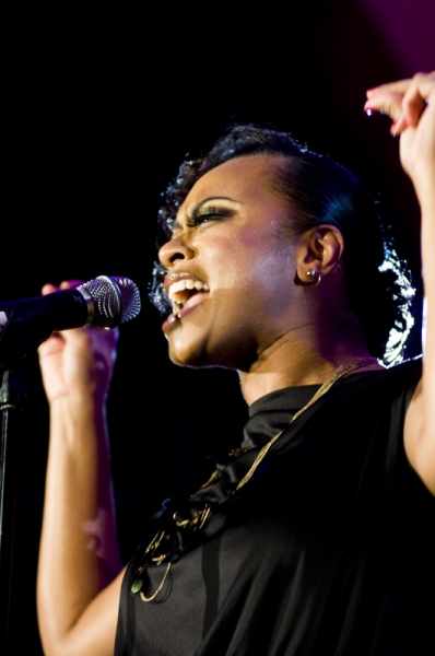 Photo Coverage: Family Equality Council Honors PRISCILLA Image