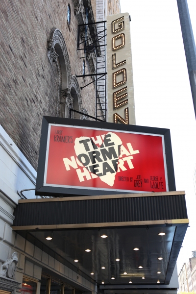Photo Coverage: THE NORMAL HEART Red Carpet Image