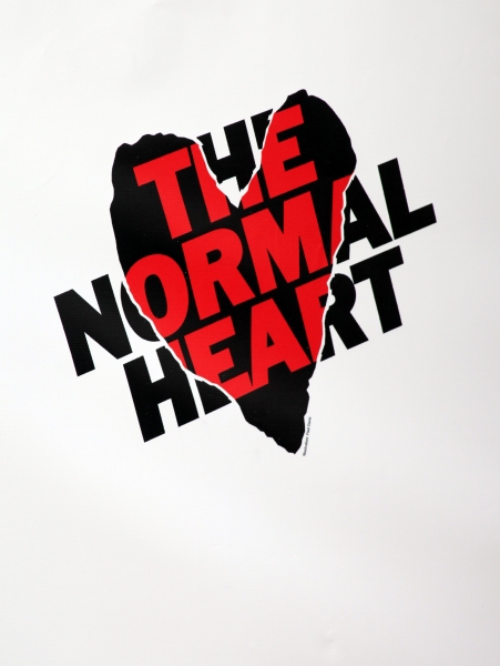 Photo Coverage: THE NORMAL HEART Red Carpet Image