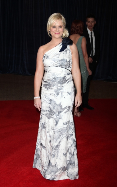 Amy Poehler attending the White House Correspondents' Association (WHCA) dinner at th Photo