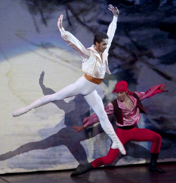 Photo Flash: 'Big Suite of Dom Quixote Ballet' Brasilia Performance  Image