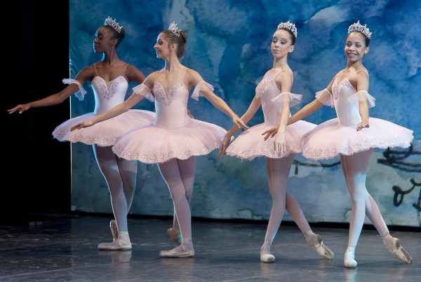 Photo Flash: 'Big Suite of Dom Quixote Ballet' Brasilia Performance  Image