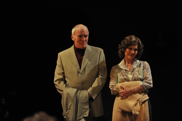 Photo Flash: Almeida Theatre's A DELICATE BALANCE Image