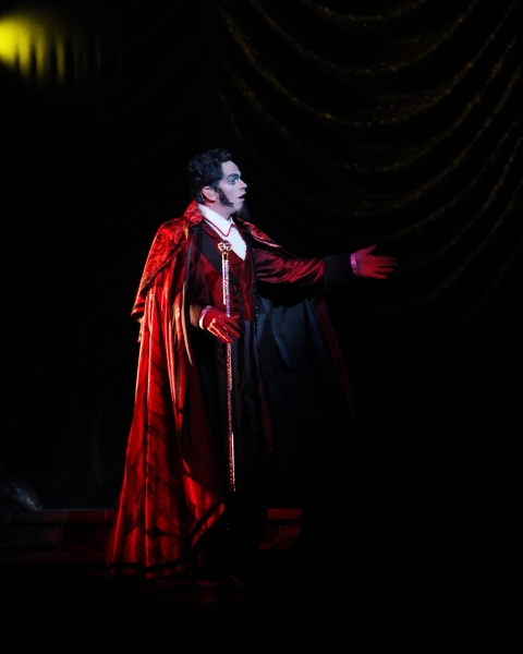Photo Coverage: Cirque Du Soleil's ZARKANA at Radio City - First Look! Image
