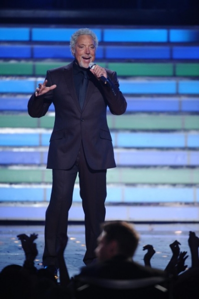 Photo Flash: AMERICAN IDOL Season Finale - Lady Gaga, Beyonce, & More! Image