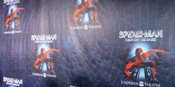 Photo Coverage: SPIDER-MAN: TURN OFF THE DARK Opening Night Party! Image