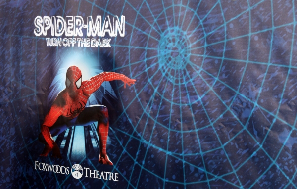 Photo Coverage: SPIDER-MAN Starry Arrivals - Part 1 Image