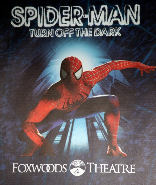 Photo Coverage: SPIDER-MAN Starry Arrivals - Part 2 Image