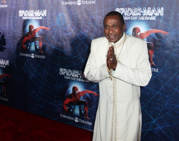 Photo Coverage: SPIDER-MAN Starry Arrivals - Part 2 Image