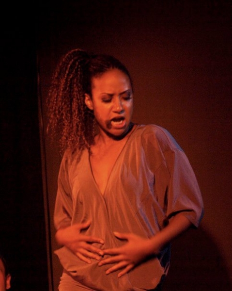 Photo Flash: Tracie Thoms, Barrett Foa, et al. in FOR THE RECORD Concert! Image