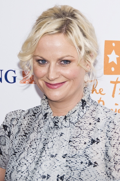 Amy Poehler Photo