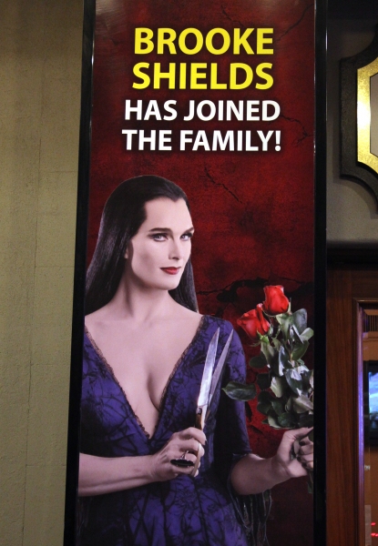 Photo Coverage: Brooke Shields Opens in THE ADDAMS FAMILY - Curtain Call! Image