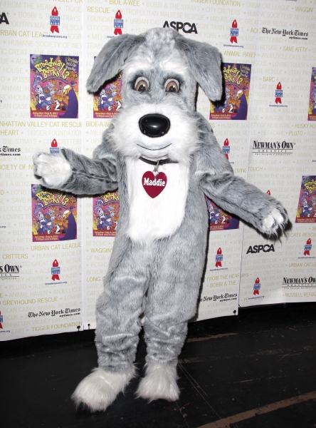 Photo Coverage: Backstage at Broadway Barks 13th Annual Adopt-A-Thon (Part One) 