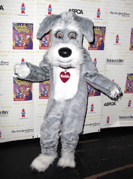Photo Coverage: Backstage at Broadway Barks 13th Annual Adopt-A-Thon (Part One) Image