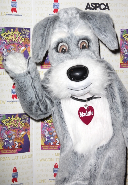 Photo Coverage: Backstage at Broadway Barks 13th Annual Adopt-A-Thon (Part One) Image