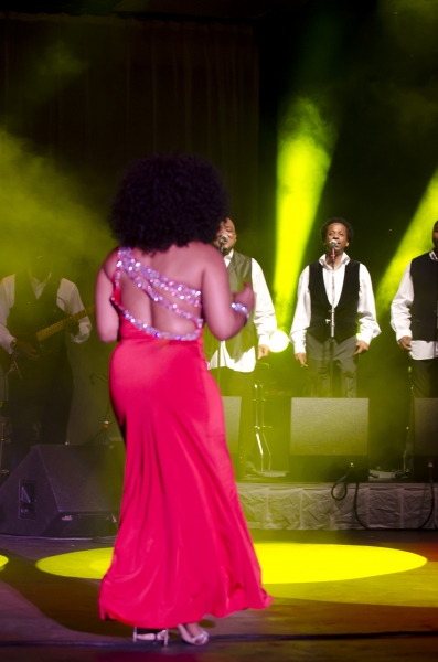 Photo Flash: Stephanie Mills Live in Philadelphia Image