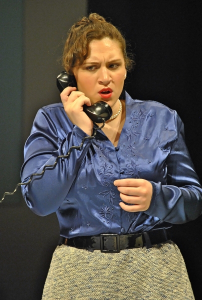 Photo Exclusive: SummerStage at Leonia Presents BYE BYE BIRDIE Image
