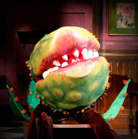 Photo Flash: Production Shots from LITTLE SHOP OF HORRORS at the Muny! 